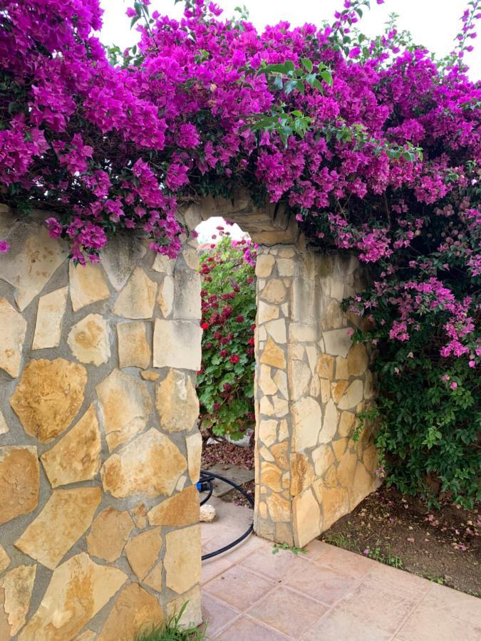 Villa Sunlight Sardegna 캐피타나 외부 사진