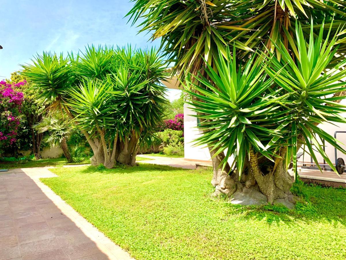Villa Sunlight Sardegna 캐피타나 외부 사진